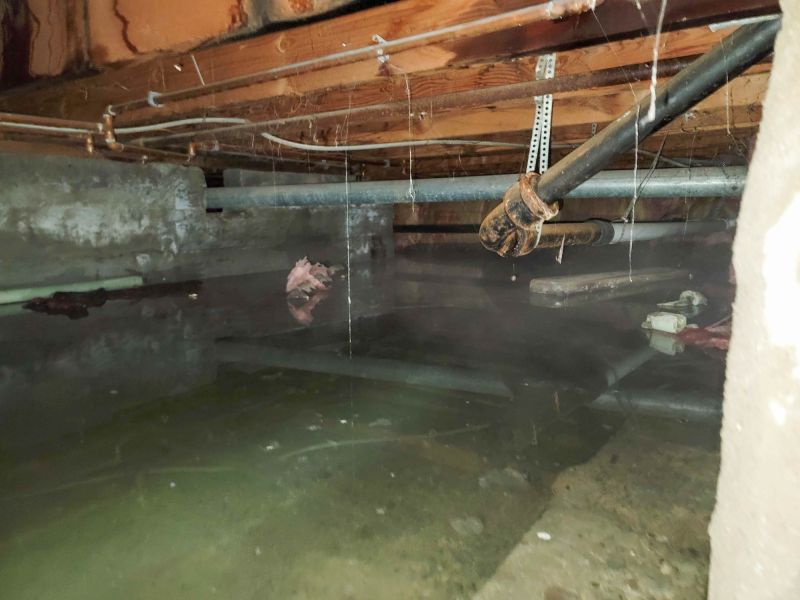 Basement Restoration Service in Wilmington, NC