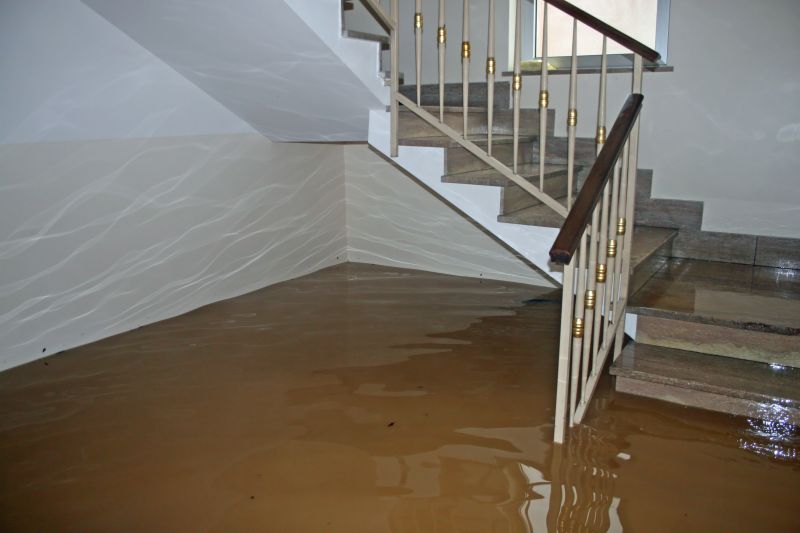 Basement Restoration Service in Mesa, AZ