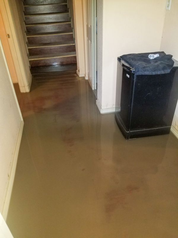 Basement Water Extraction in Santa Rosa, CA