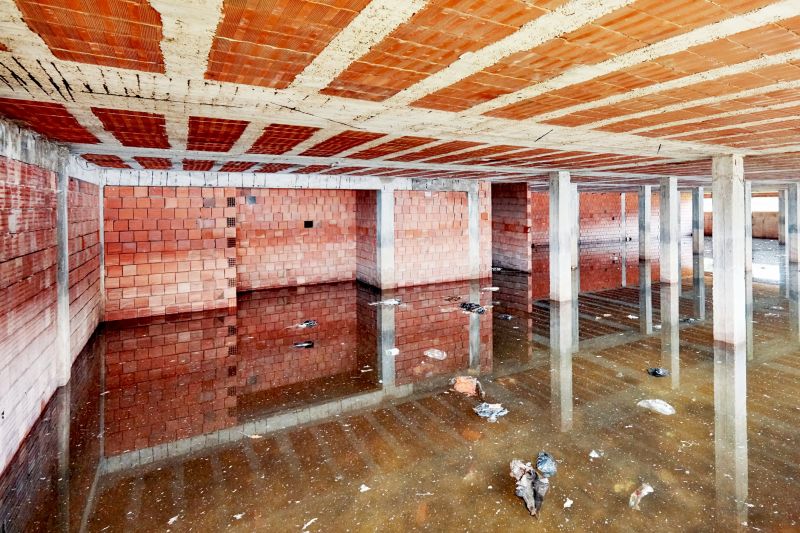 Basement Water Extraction in Chandler, AZ