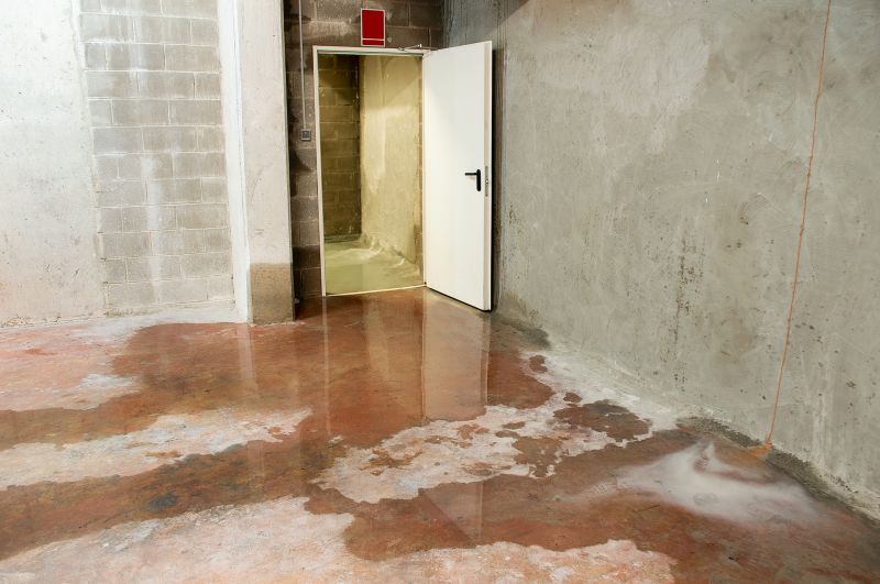 Basement Water Mitigation in Scottsdale, AZ