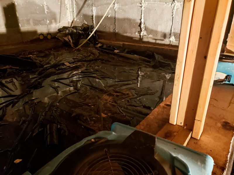 Basement Water Removal in Wilmington, NC