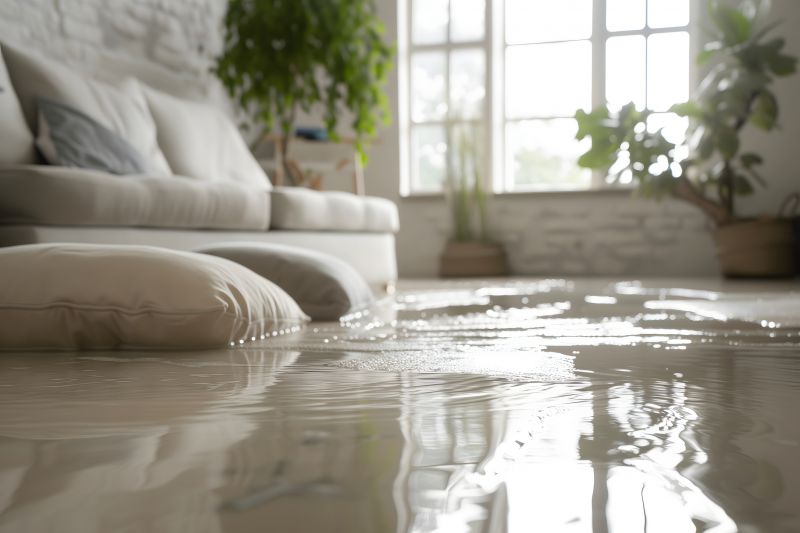 Flood Damage Repair in Phoenix, AZ