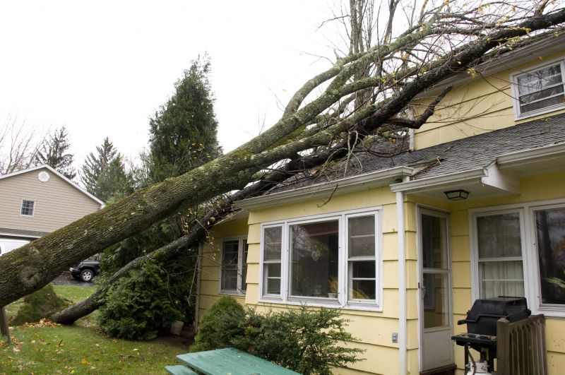 Restoration Service in Olathe, KS