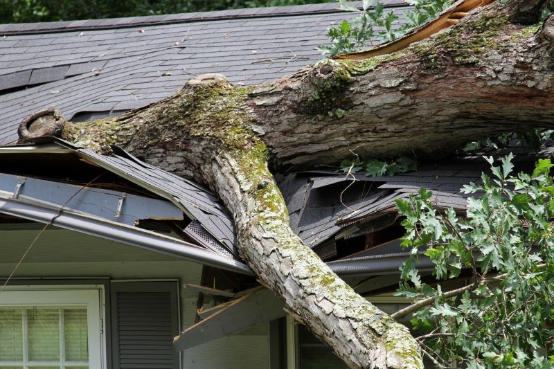 Storm Recovery Service in Mesa, AZ