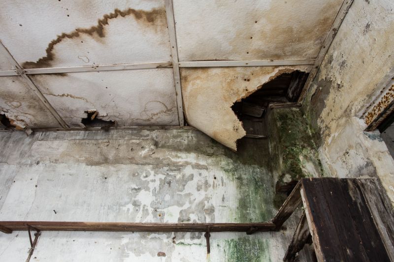 Water Damage Cleanup in Gilbert, AZ