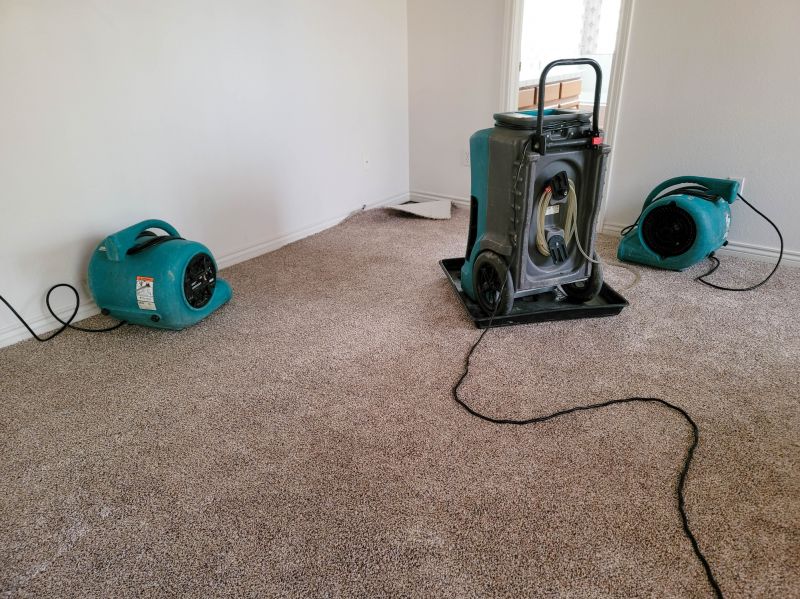 Water Damage Cleanup in Chandler, AZ