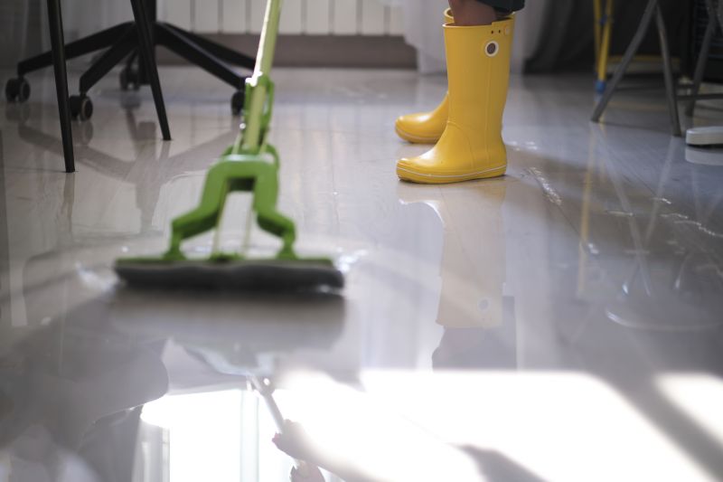 Water Removal Service in Chandler, AZ