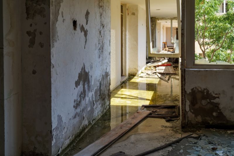 Water Removal Service in Chandler, AZ