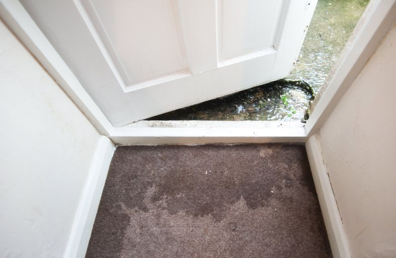 Wet Carpet Drying in Wilmington, NC