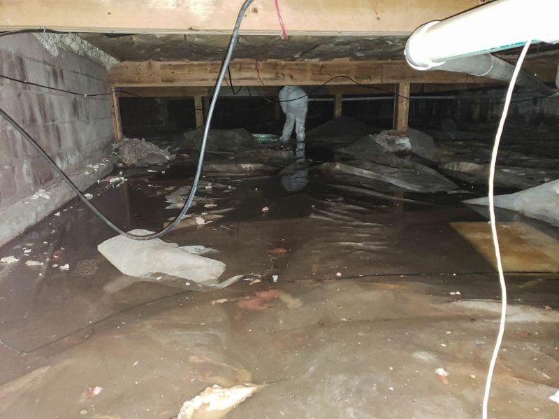 Contact About Flooded Basement Cleanup