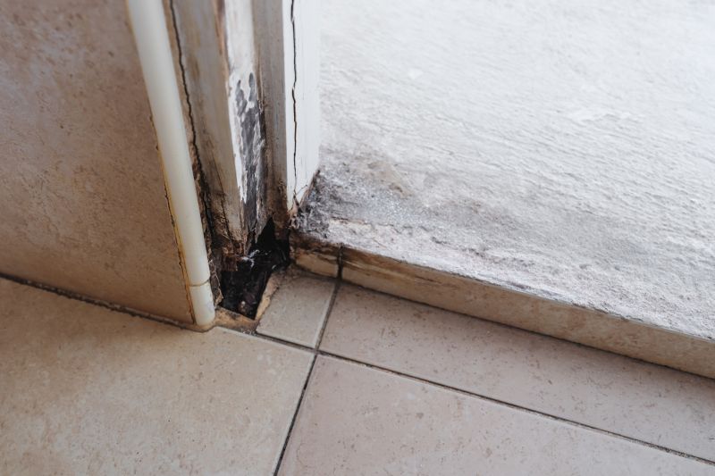 Restoration Service in Olathe, KS