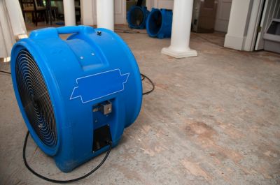 Flooded Basement Mold Prevention